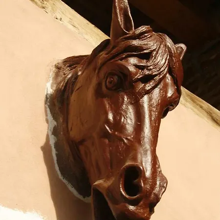 Old Farm Hotel apartamentowy